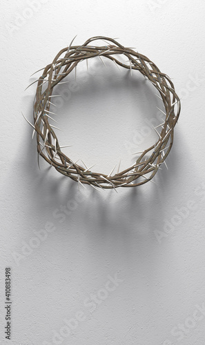 Fotografie Crown Of Thorns