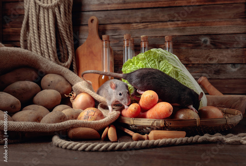 Rat on a wooden table with vegetables and kitchen utensils.