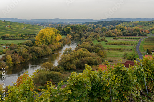 Blick von den Weinbergen bei K  hler auf die Volkacher Mainschleife und den  Weinort Sommerach am Main an der Weininsel und die Mainaue  Unterfanken  Bayern  Deutschland
