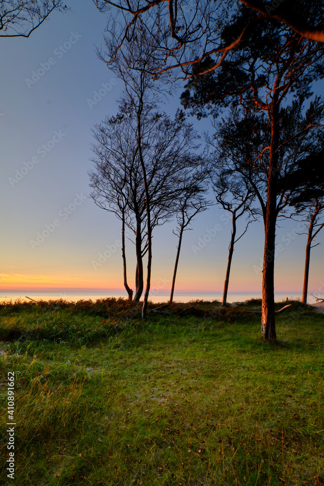 Lichtstimmung am Abend am Darßer Weststrand, Nationalpark Vorpommersche Boddenlandschaft, Mecklenburg Vorpommern, Deutschland