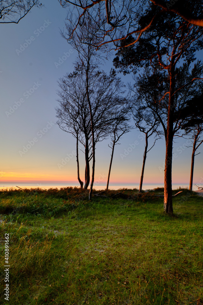 Lichtstimmung am Abend am Darßer Weststrand, Nationalpark Vorpommersche Boddenlandschaft, Mecklenburg Vorpommern, Deutschland Lichtstimmung am Abend am Darßer Weststrand, Nationalpark Vorpommersche Boddenlandschaft, Mecklenburg Vorpommern, Deutschland