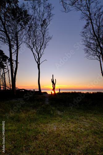 Lichtstimmung am Abend am Dar  er Weststrand  Nationalpark Vorpommersche Boddenlandschaft  Mecklenburg Vorpommern  Deutschland