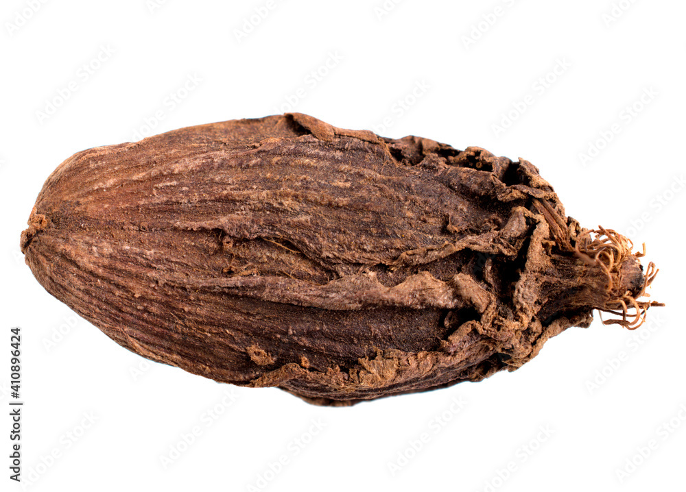 Black Cardamom Seed (Amomum Subulatum). Also Known as Hill, Bengal, Greater, Indian, Nepal, Winged, Big or Brown Cardamom. Isolated on White. Black Cardamom Seed (Amomum Subulatum). Also Known as Hill, Bengal, Greater, Indian, Nepal, Winged, Big or Brown Cardamom. Isolated on White.