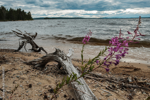 View of the Middle Kuito lake in Kalevala photo