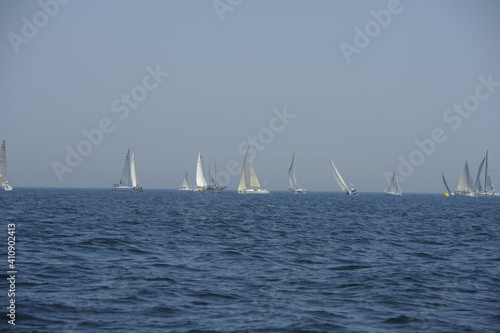 Sailboats on the day of a competition.