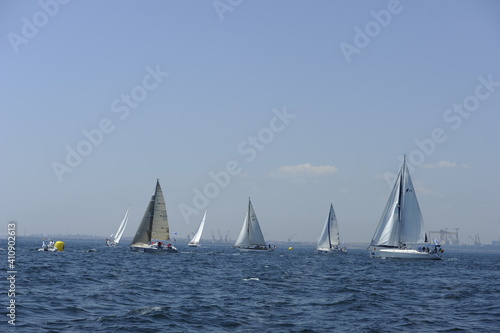 Sailboats on the day of a competition.