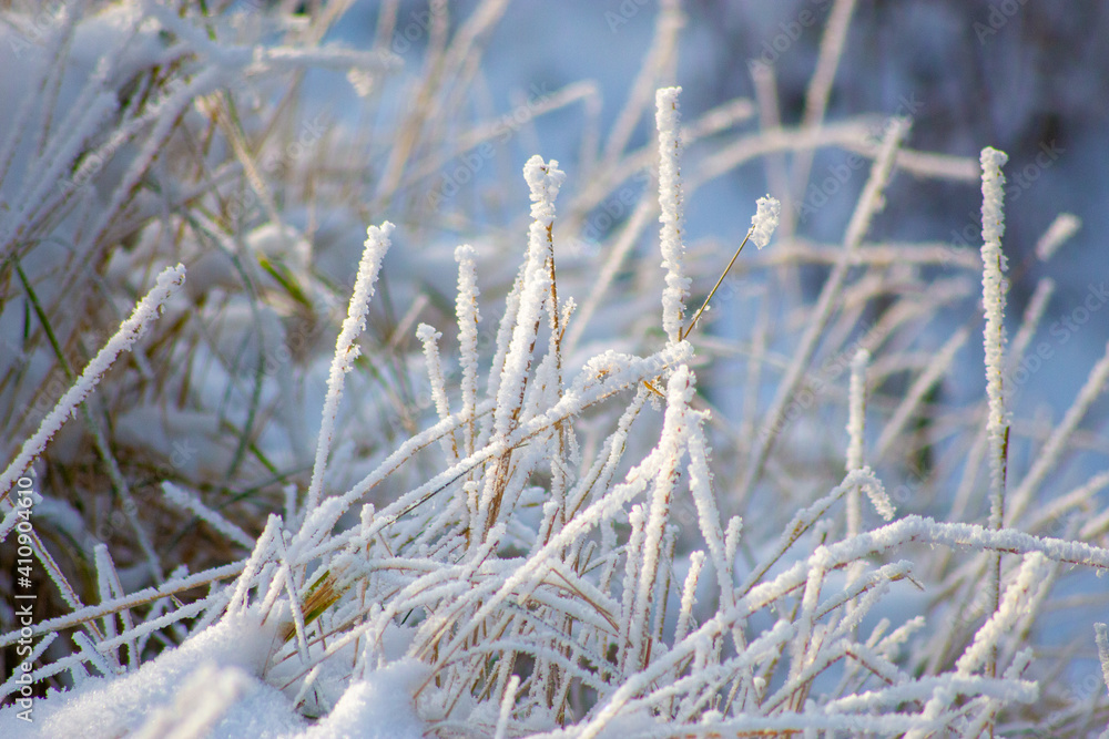 frost on grass frost on grass