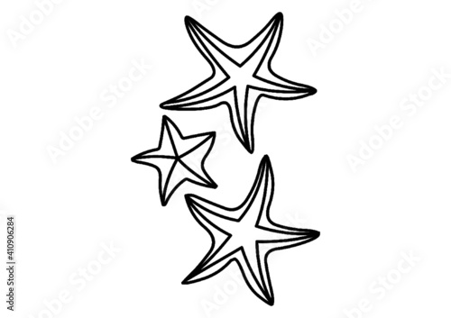 Stelle marine 