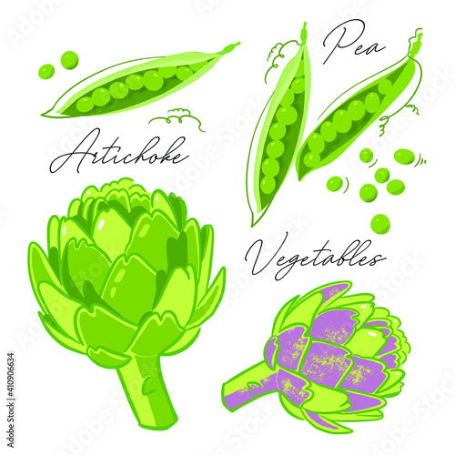 Vegetables, artichoke, peas, element for menu, patterns, backgrounds, labels, packaging, design, banners, flyers, handmade art decoration. Doodles, graphics, sketch, vector illustration.