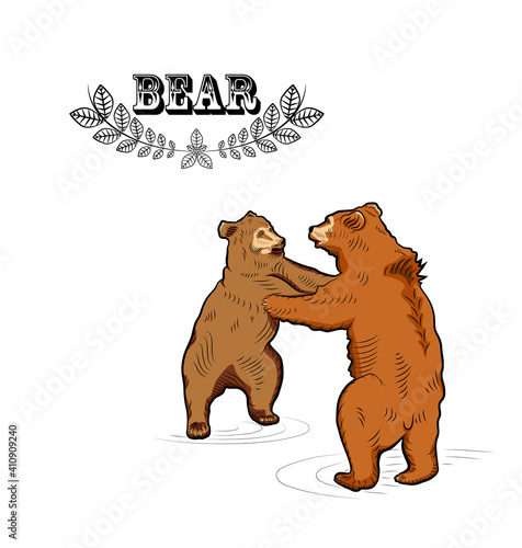 Colorful sketch. Battle of two standing up bears.