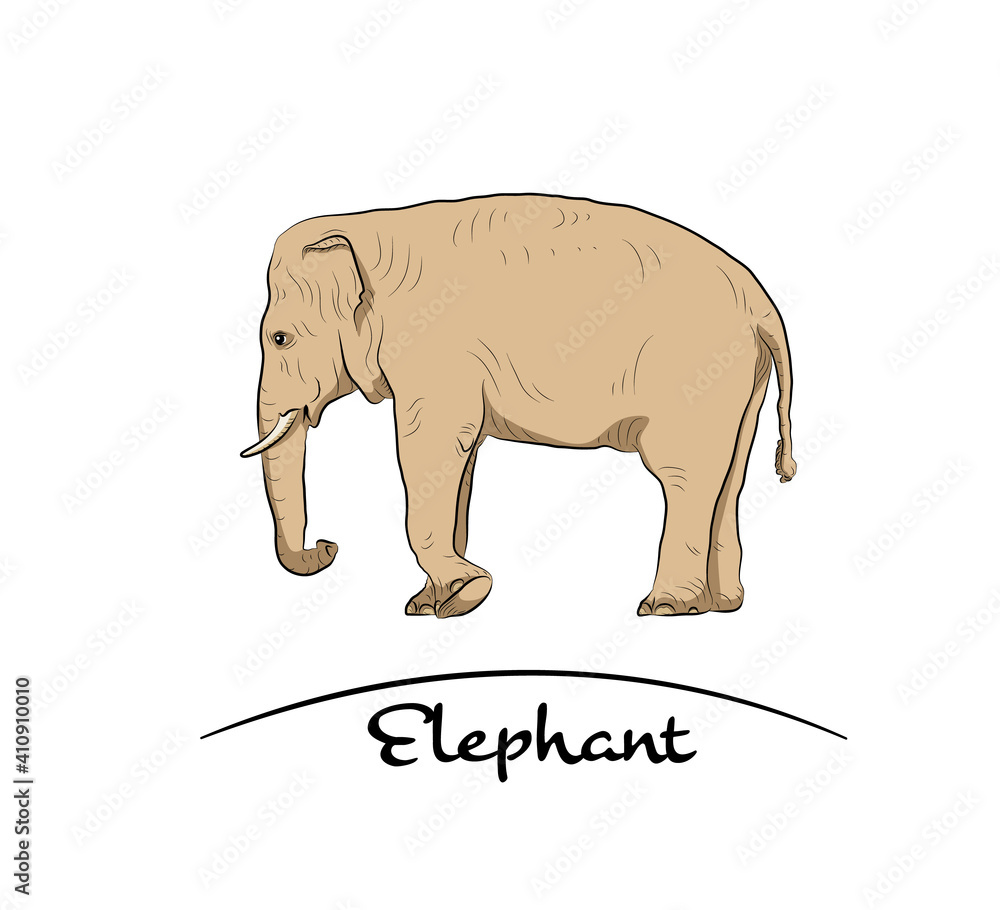 Fototapeta premium Walking elephant.Hand made.