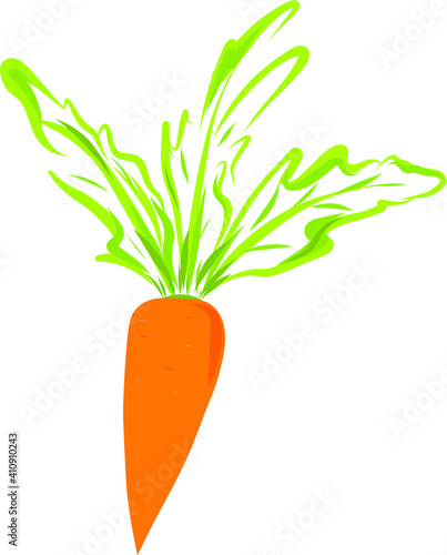 Bright orange vector carrot clip art isolated on white background. Lush foliage botanical digital illustration. Garden vegetable design element.