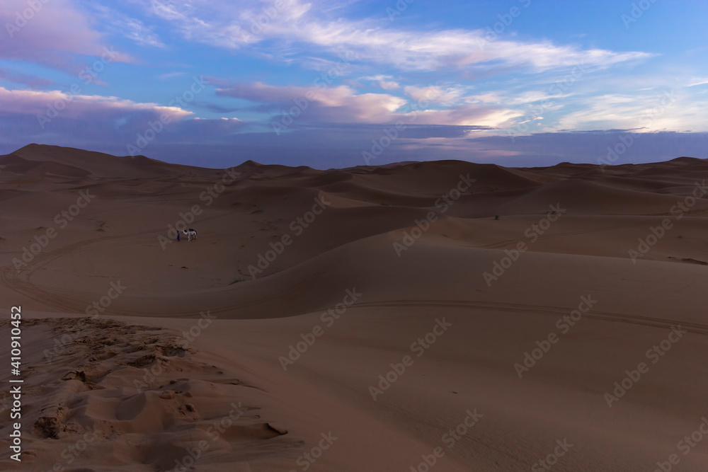 dune at sunset in morocco dune at sunset in morocco