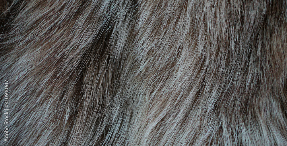 Brown fur in the form of texture - obrazy, fototapety, plakaty 