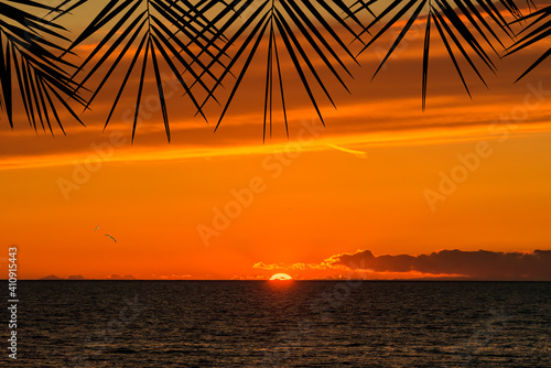 Ocean tropical sunset seen through silhouettes of palm branches