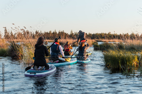 Group of people enjoy doing SUP stand up paddle boarding at sunset in swamp. Summer evening activity
