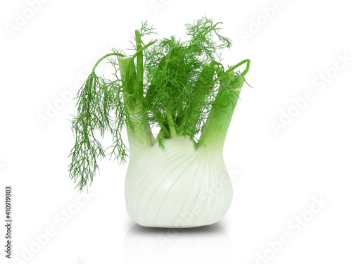 Fennel Bulb. Single fresh fennel bulb with leaves on white background stock photo