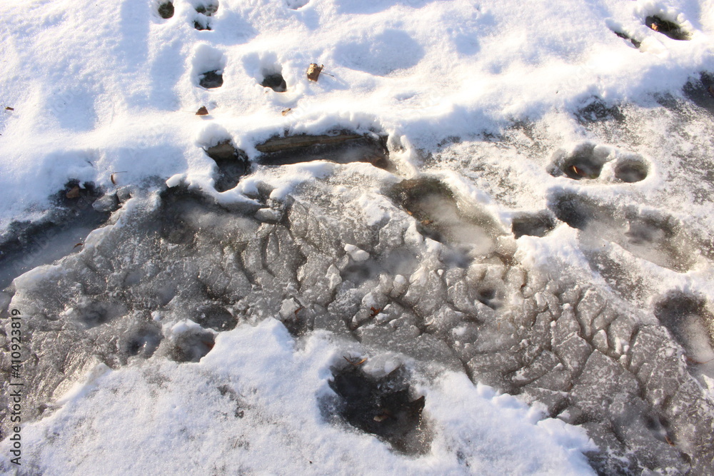 Melted snow froze in the cold in bizarre shapes
Melted snow froze in the cold in bizarre shapes