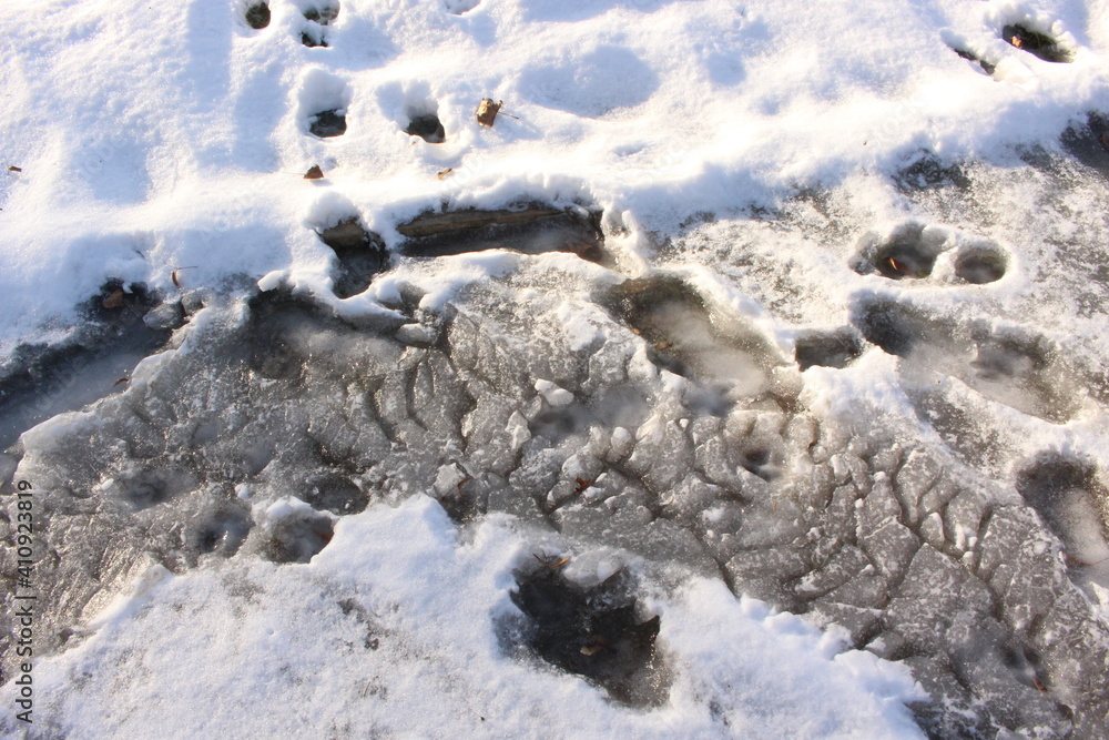 
Melted snow froze in the cold in bizarre shapes