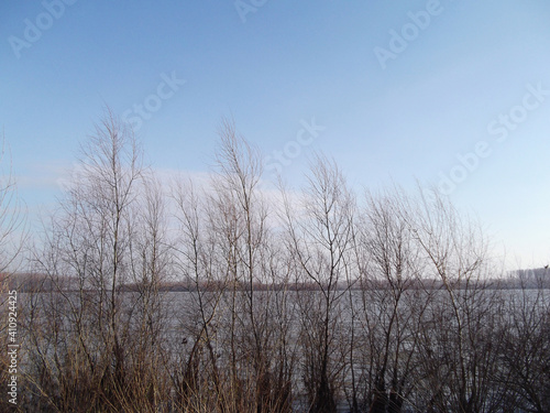 Nature background , loneliness , river , trees , winter .