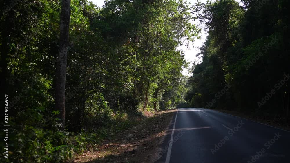 view on the road in nature site, tree and forest landscape motion feeling for travel to the countryside, the concept of vacation freedom relax time, use for spa and eco-green artwork view on the road in nature site, tree and forest landscape motion feeling for travel to the countryside, the concept of vacation freedom relax time, use for spa and eco-green artwork