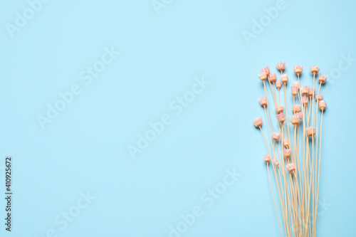 Bouquet of dried flowers on light blue background, flat lay. Space for text