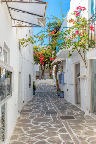Fototapeta Naklejka Na Ścianę i Meble -  Traditional Cycladitic alley with narrow street, whitewashed houses and a blooming bougainvillea flowers in parikia, Paros island, Greece.