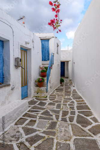 Traditional alley with whitewashed houses and a bougainvillea during winter time in Prodromos Paros island