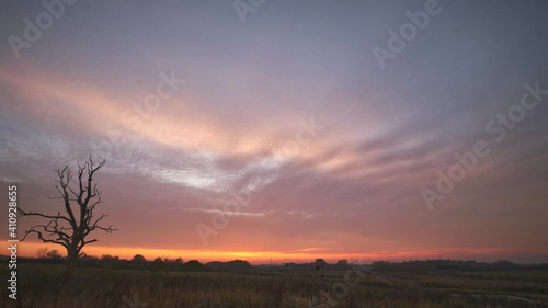 Winter Tree Deep Orange Sunset Timelapse (Nottingham)
