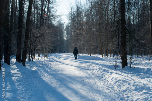 Winter park panorama on a sunny day. People are walking along snowy roads. © Viacheslav