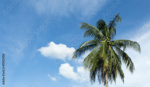 Blue sky with white clouds and Coconut trees © Thong