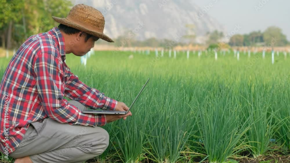 Farmers use laptop computer to collect data on the growth of spring onions in the field. Agricultural technology Farmers use laptop computer to collect data on the growth of spring onions in the field. Agricultural technology
