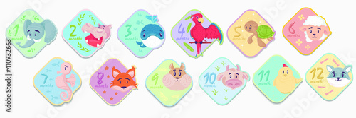 Monthly baby stickers from 1 to 12 months with cute animals. Newborn baby stickers with elephant fox turtle raccoon hippo. Vector illustration
