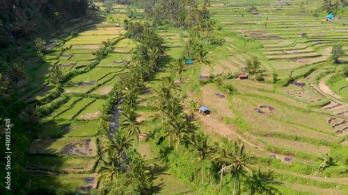 Aerial Rice terraces near Mahagiri drone view. Bali, Indonesia. photo