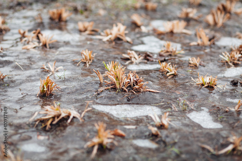 Ground icing, rain in frosty weather. © Andrii Zastrozhnov