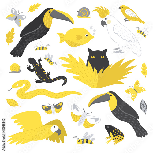 Fauna set yellow gray