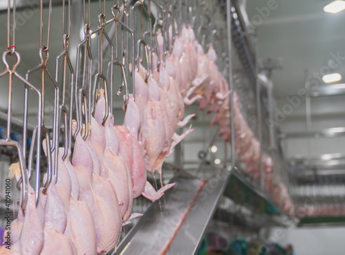 Принти на полотні Fresh chicken hangs on the rail after passing through the chillers to cool down