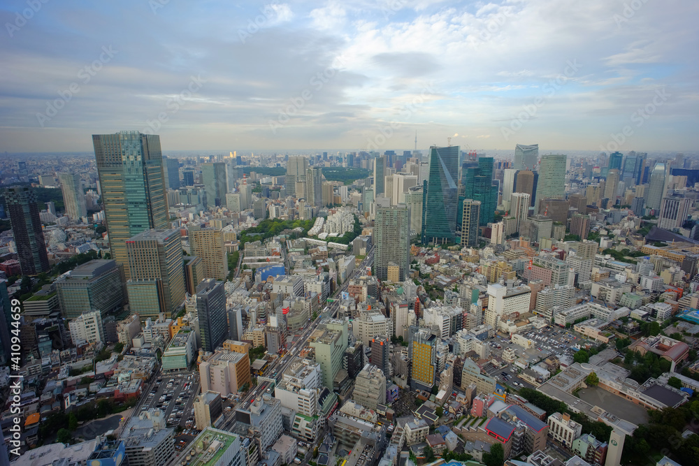 Tokyo aerial taken from Roppongi Hills building.

