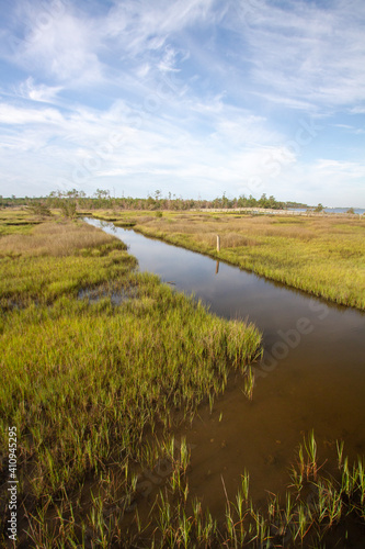Stampa su tela Scenic View Of Coastal Marsh Against Sky