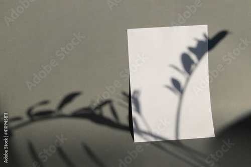 Winter stationery still life scene. Close-up of blank paper, greeting card mock-up. Trendy floral branches long shadows. Grey table background in sunlight. Flat lay, top view. Mockup. Empty copy space