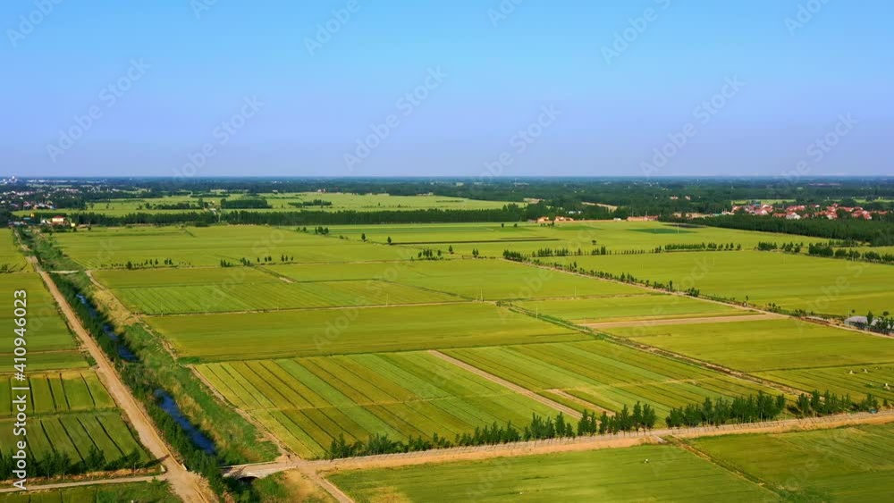 Panorama of Chinese rural scenery, aerial photography of green wheat fields and village in the distance Panorama of Chinese rural scenery, aerial photography of green wheat fields and village in the distance