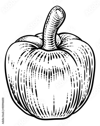 Pepper vegetable illustrati...