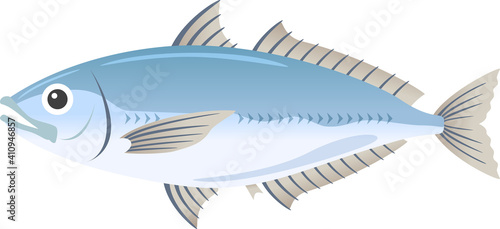 アジ　魚介類　生き物