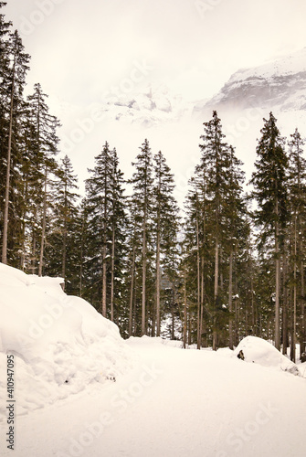 Wallpaper Mural Snowy mountains and forest landscape Torontodigital.ca