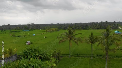 Aerial Rice terraces near Mahagiri drone view. Bali, Indonesia. photo