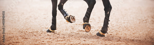 The hooves of a black horse trot across an outdoor sandy arena on a bright day. Equestrian sports. Horseshoes.