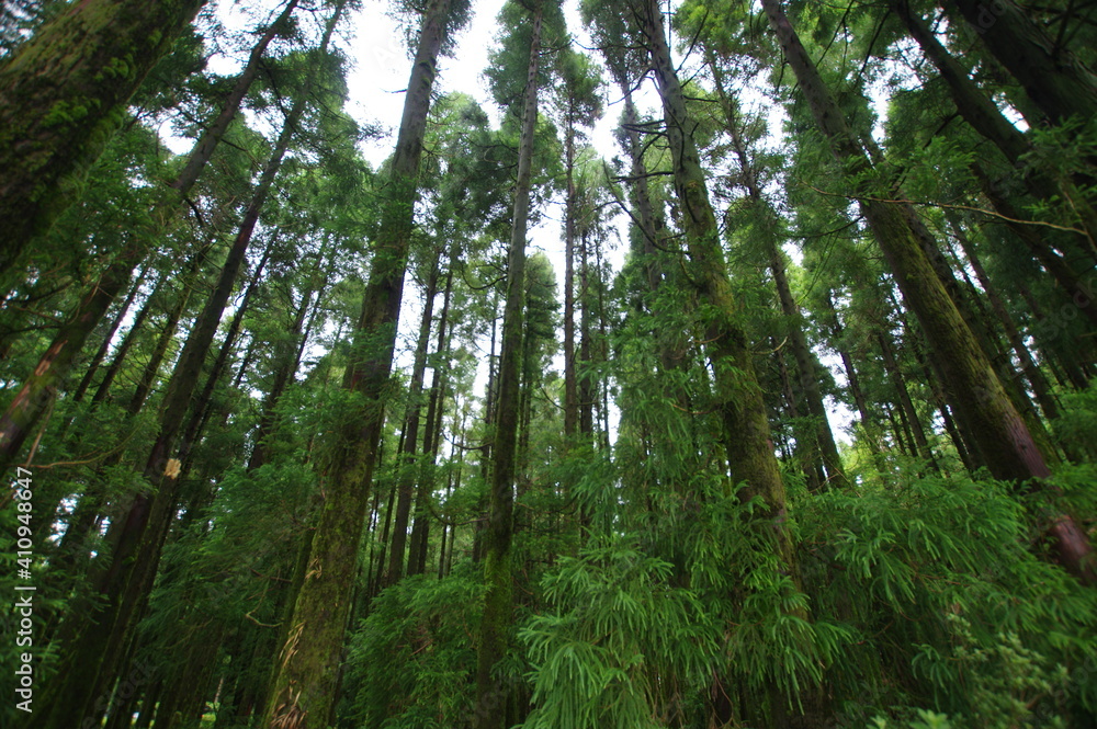 Azores islands, natural landscapes in Sao Miguel Azores islands, natural landscapes in Sao Miguel
