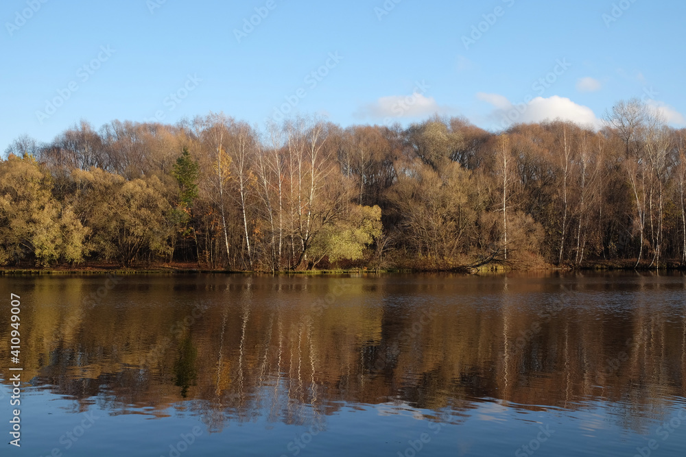 Calm countryside landscape with quite river and autumn colored forest after it under clear blue sky horizontal view