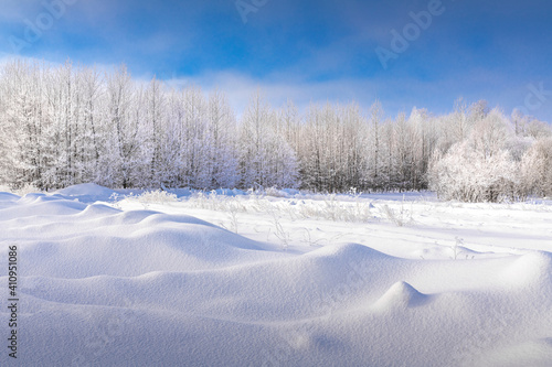 Texture of snow waves in bright foreground sunlight. In the center are bushes, traces of a forest animal, a hare or a fox. Blue sky, trees with thick white frost on the branches.