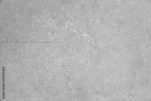 Gray loose acrylic paint texture with white and dark stains. Background, substrate.